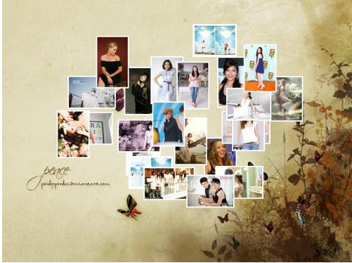 影楼多媒体接单系统(涵雨影楼接单系统)v1.5 免