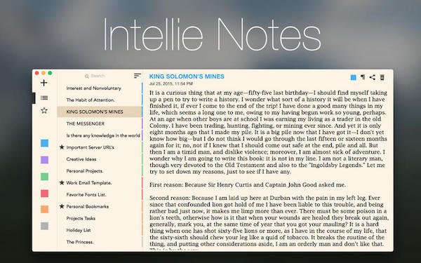 Intellie Notes